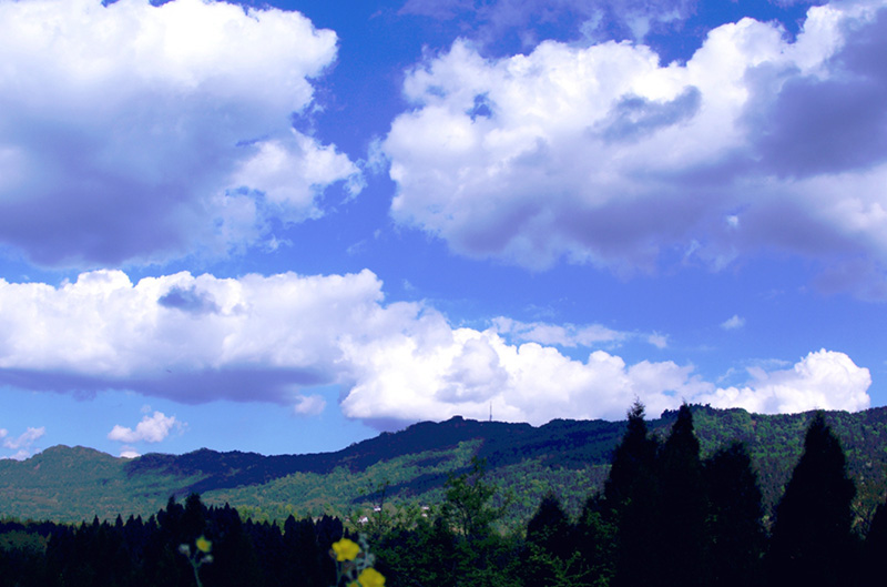 Nanchong Jincheng Mountain Forest Park
